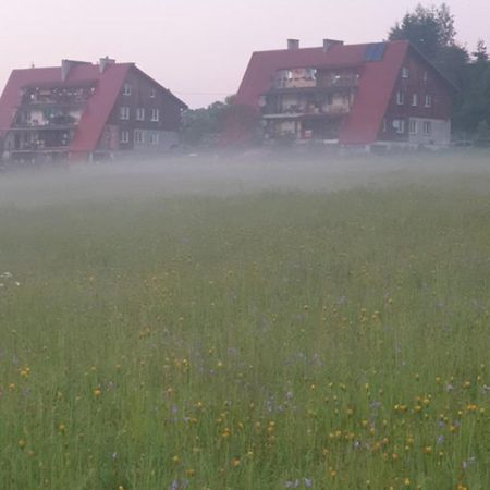 Apartament Wrzos Bieszczady Czarna  Extérieur photo