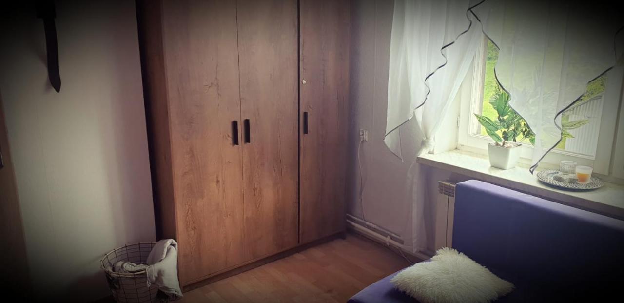 Apartament Wrzos Bieszczady Czarna  Extérieur photo