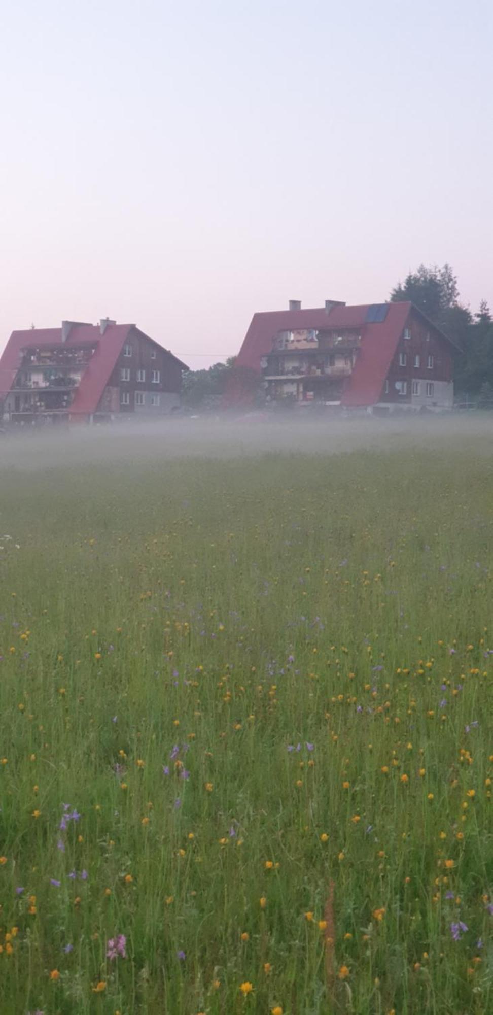 Apartament Wrzos Bieszczady Czarna  Extérieur photo